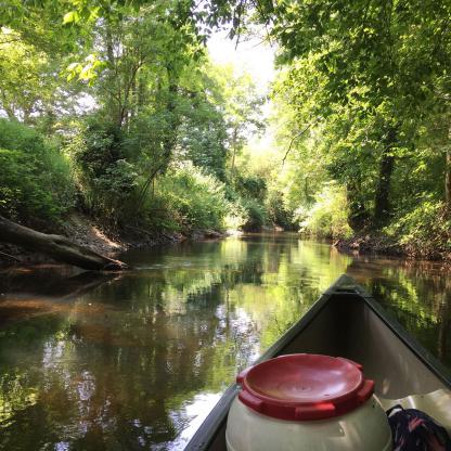 A l'ombre des arbres